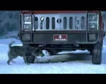 Кріс Пенн - відео обкладинка