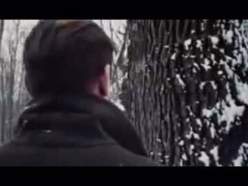 Віктор Степанов - відео обкладинка