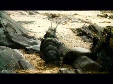 Норман Віздом - відео обкладинка