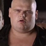 Ерланд ван Лідт