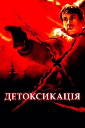 Детоксикація