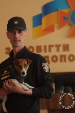 Михайло Ільєв