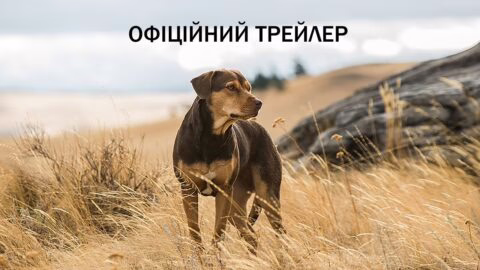 Шлях додому. Офіційний трейлер 2 (український)