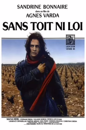 Без даху, поза законом