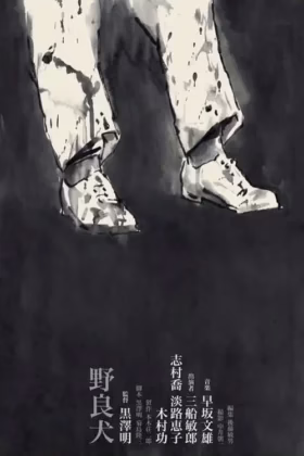 Безпритульний пес