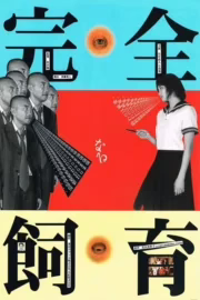 Ідеальна освіта