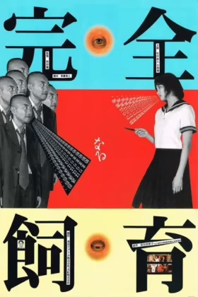 Ідеальна освіта