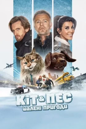 Кіт &amp; Пес: Шалені пригоди
