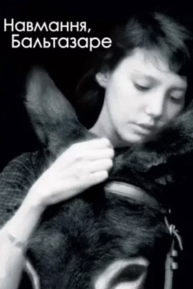 Навмання, Бальтазаре
