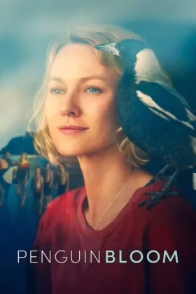 Пінгвін Блюм