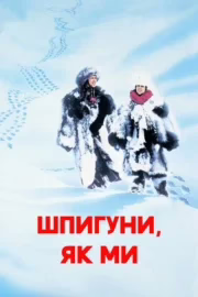 Шпигуни як ми