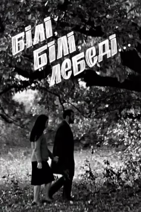 Білі, білі лебеді…