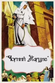 Чорний нарцис