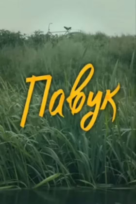 DZIDZIO: Павук