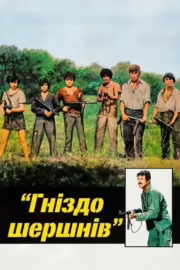 Гніздо шершнів