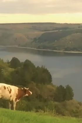 Я вже не уїду нікуда