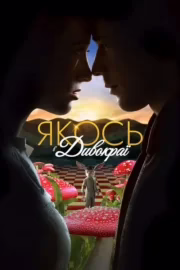 Якось в Дивокраї
