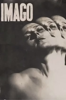 Імаґо