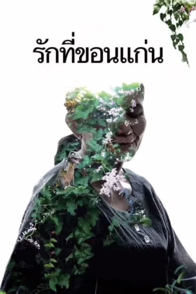 Кладовище блиску