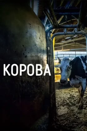 Корова