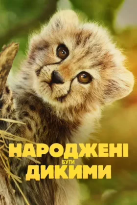 Народжені бути дикими