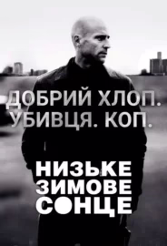 Низьке зимове сонце