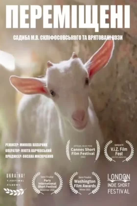 Переміщені. Садиба М.В. Скліфосовського та врятовані кози