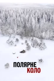 Полярне коло