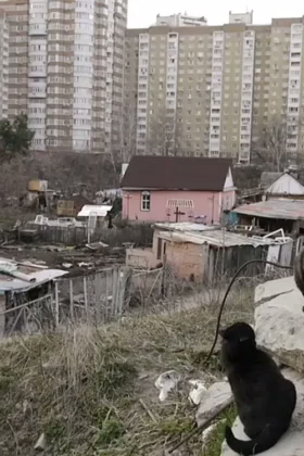 Посеред хат