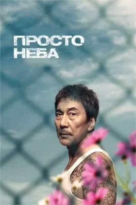 Просто неба