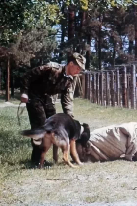 Прикордонне слідопитство