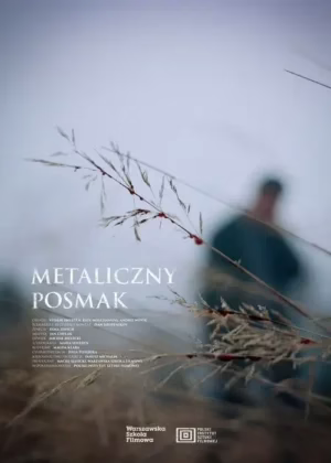 Смак металу