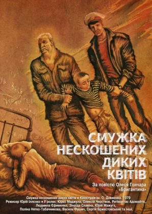 Смужка нескошених диких квітів