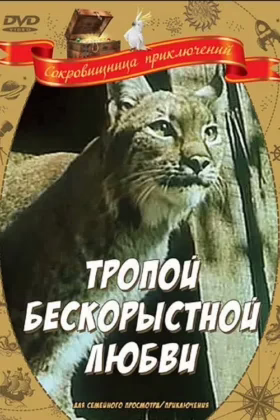 Стежкою безкорисливої любові