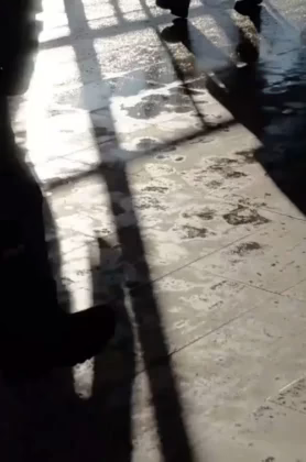 Стрешнево