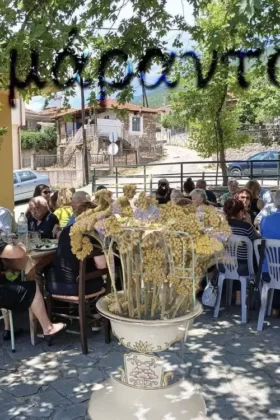 Сухоцвіт