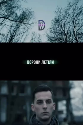 Ворони летіли