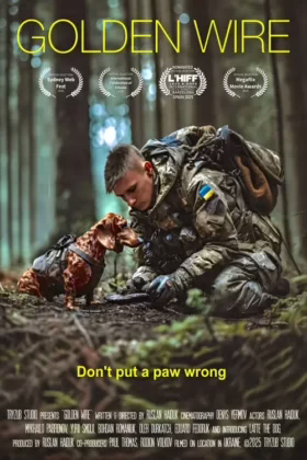Золотий дріт
