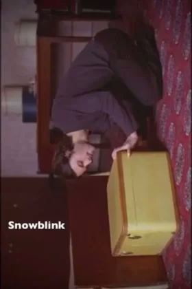 Зимове весілля